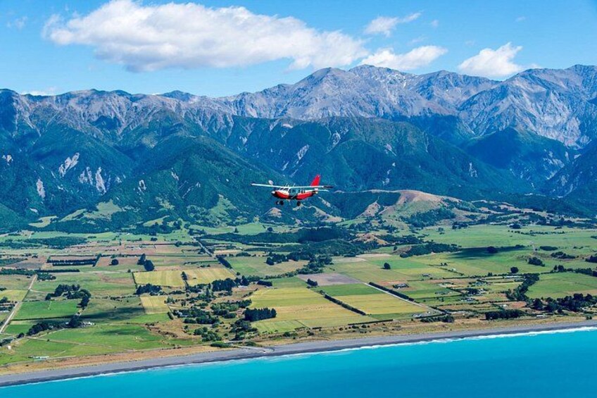 Kaikōura Whale Watching Scenic Flight (40 Minutes) 5