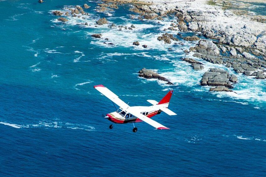 Kaikōura Whale Watching Scenic Flight (40 Minutes) 2