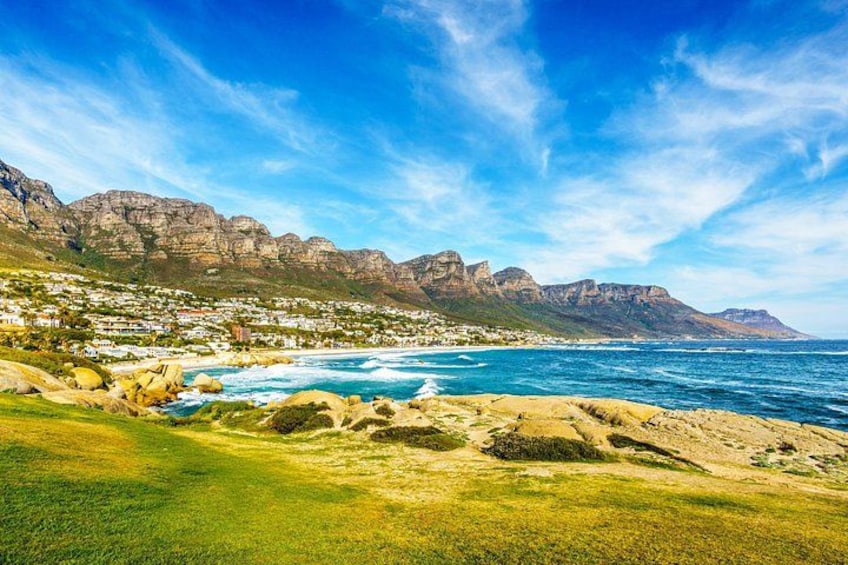 Table Mountain, Penguins & Cape of Good Hope Small Group Top Tour from Cape Town 4