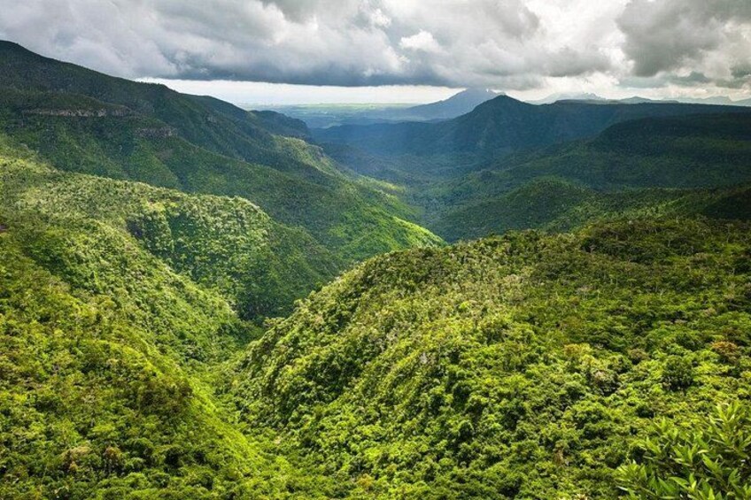 A mountainous landscape with dense green vegetation. 5
