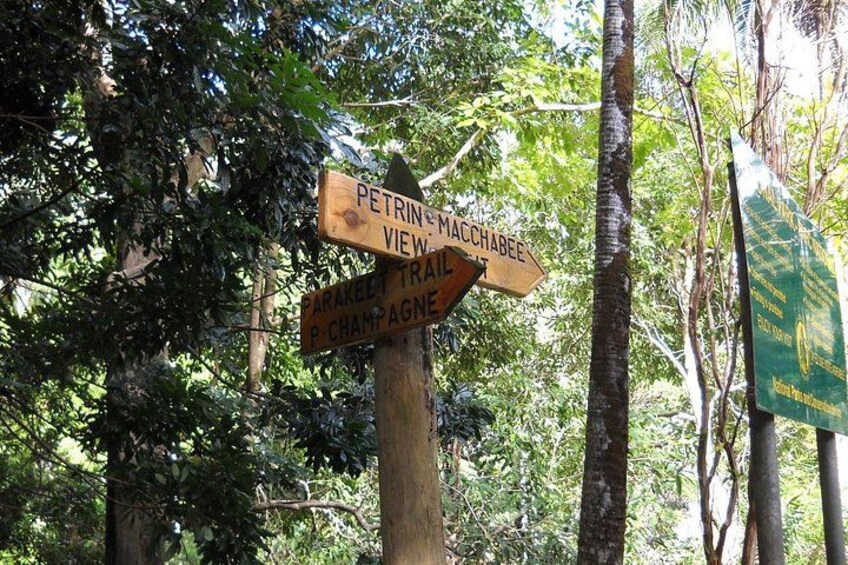 A wooden trail signpost with directions to Petrinite View, Macchabee, and Champagne. 3