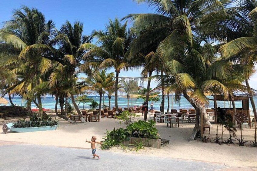 Una playa con palmeras, sillas de descanso y una piscina. 3