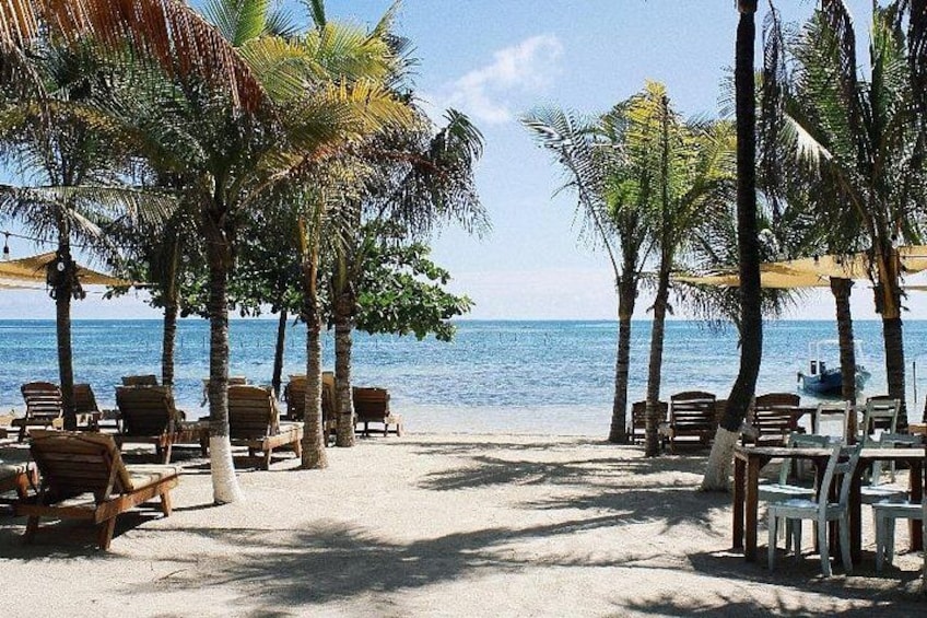 Een strand met ligbedden en palmbomen. 4