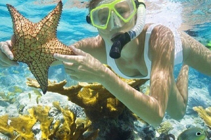 Punta Cana Booze Cruise with Snorkeling, Sand Bar, and Transfers 2
