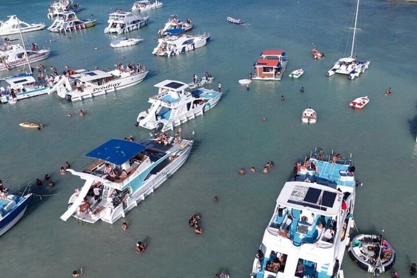 Punta Cana Booze Cruise with Snorkeling, Sand Bar, and Transfers 2