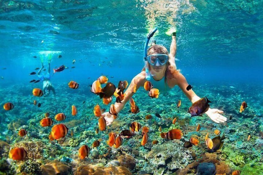 Punta Cana Booze Cruise with Snorkeling, Sand Bar, and Transfers 5