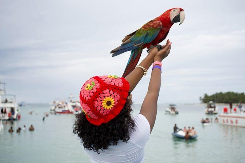 Punta Cana Booze Cruise with Snorkeling, Sand Bar, and Transfers 4