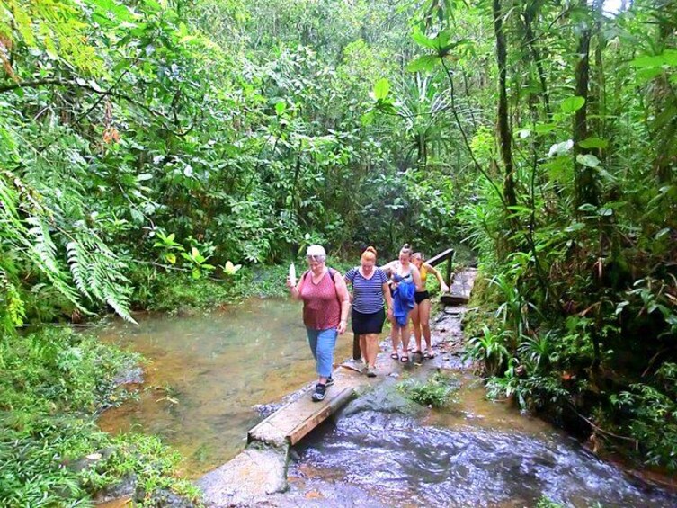 A group of people crossing a narrow stream on a wooden bridge in a lush, green forest. 2