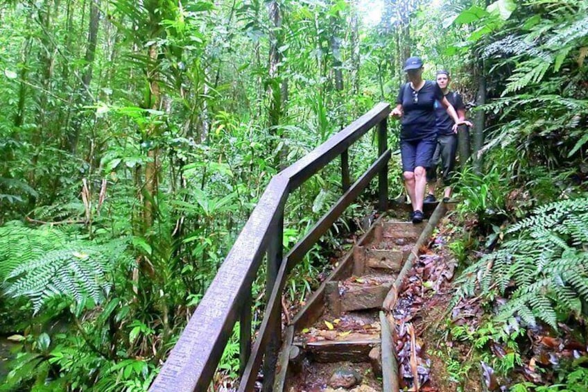 Suva Customized tour- Private 4