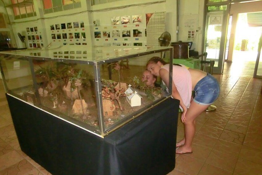 A glass display case with a model of a prehistoric scene, including a dinosaur and a small human figure. 1
