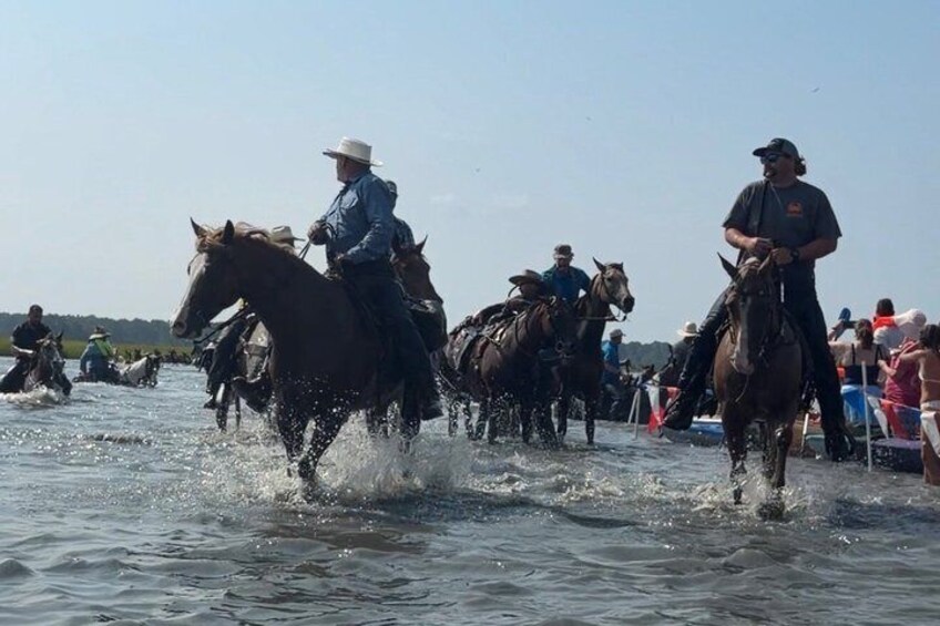 Chincoteague Pony Swim Kayak Tour 2027 - front row Pony Swim Seat 4