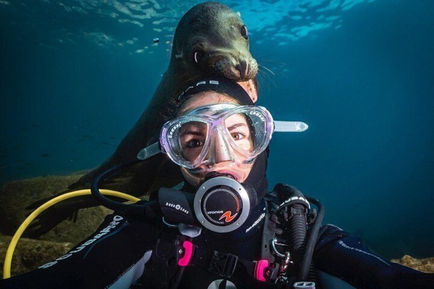 sea lion selfie 1