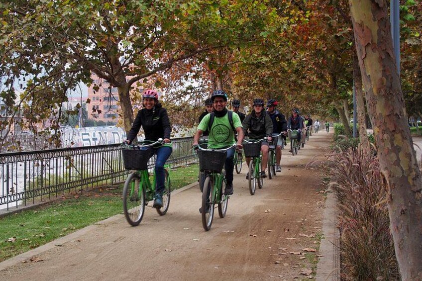 Eine Gruppe Radfahrer auf einem von Bäumen gesäumten Weg. 4