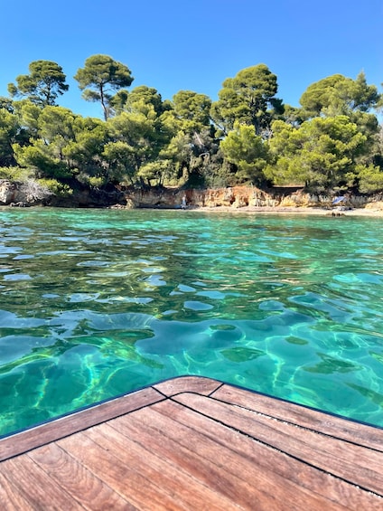 Picture 24 for Activity Cannes: Private Boat Trip to Lerins Islands & Cap d'Antibes 2