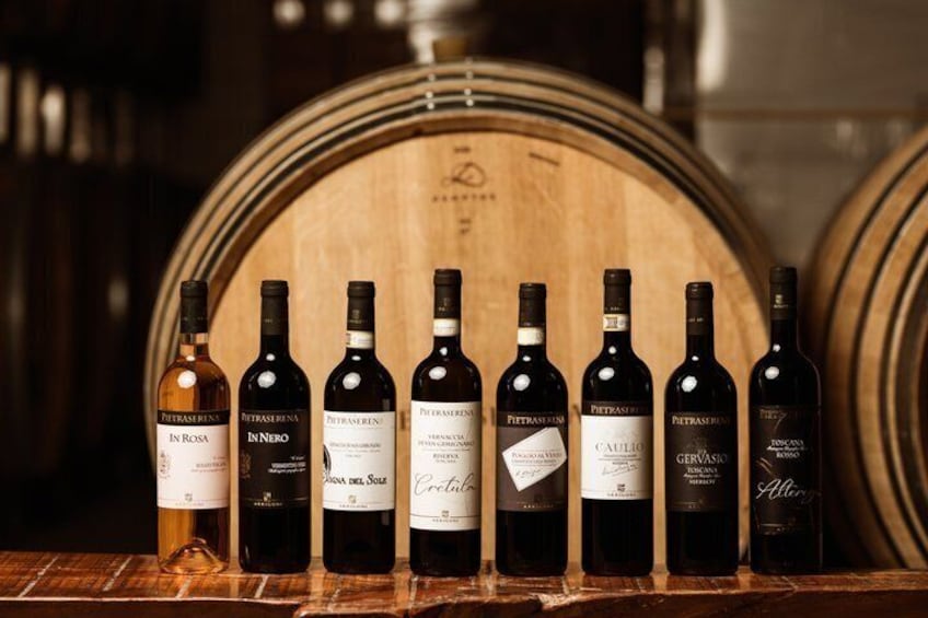 5 Wine Tastings in San Gimignano 3
