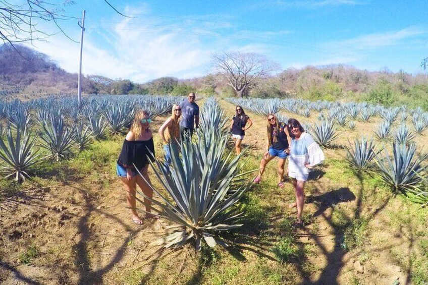 Artisans Town and Agave Distilled Factory