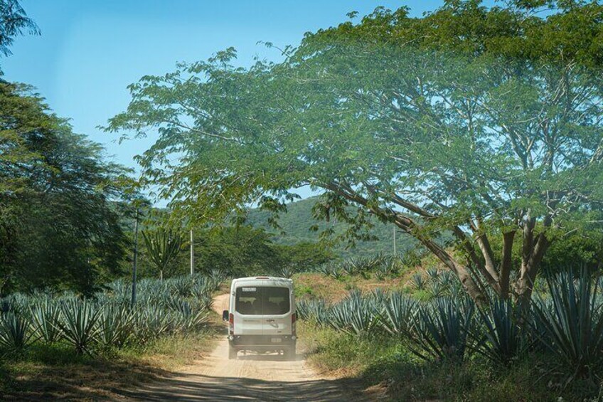 Artisans Town and Agave Distilled Factory