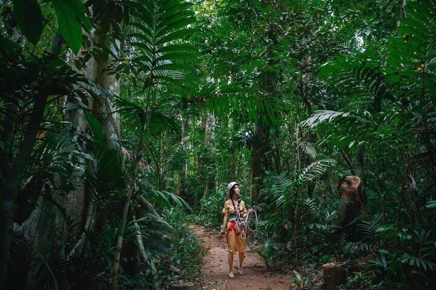 Stunning jungle canopy 5