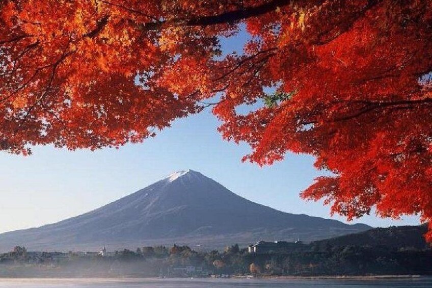 Mt Fuji & Hakone Tour: Cruise, Drum Show & Bullet Train Return 3