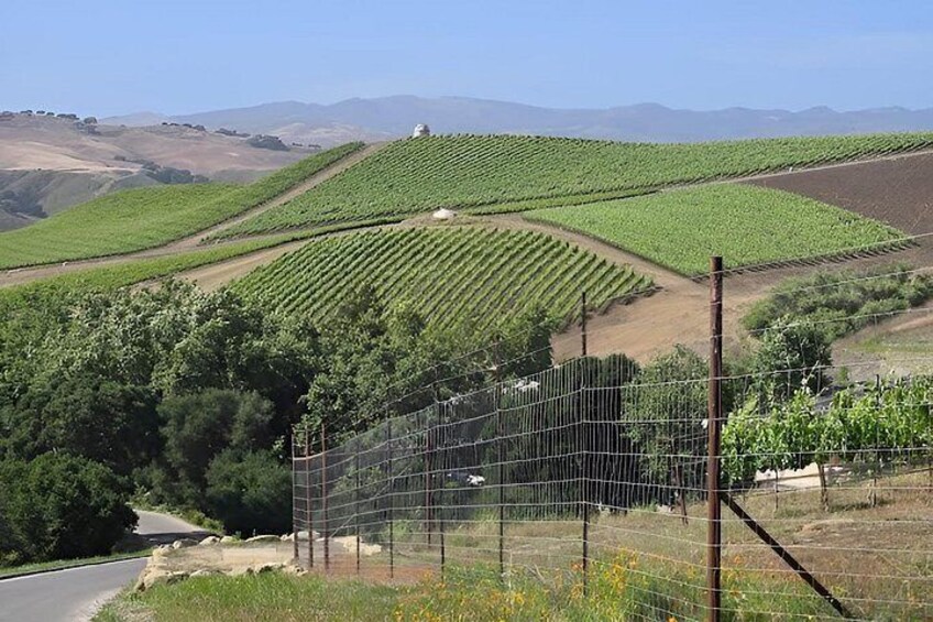 Private 6 hour Tour of Santa Barbara 4