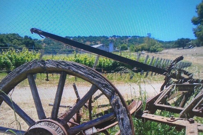 Private 6 hour Tour of Santa Barbara 2