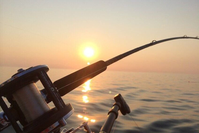 Maafushi: Big Game Fishing Drive (Private) 4
