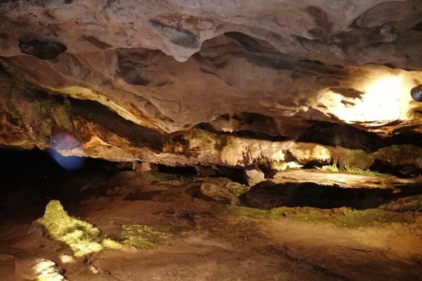 A cave interior with stalactites, a light source, and a moss-covered ground. 2