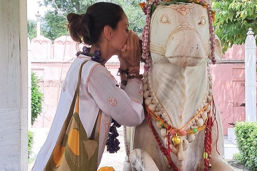 One Day Admirable tour in Varanasi Private Guided Tour 5