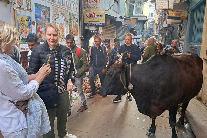 One Day Admirable tour in Varanasi Private Guided Tour 3