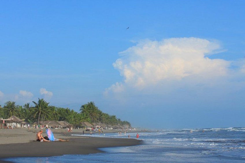 Tour to Puerto Arista and Boca del Cielo from Tuxtla 4