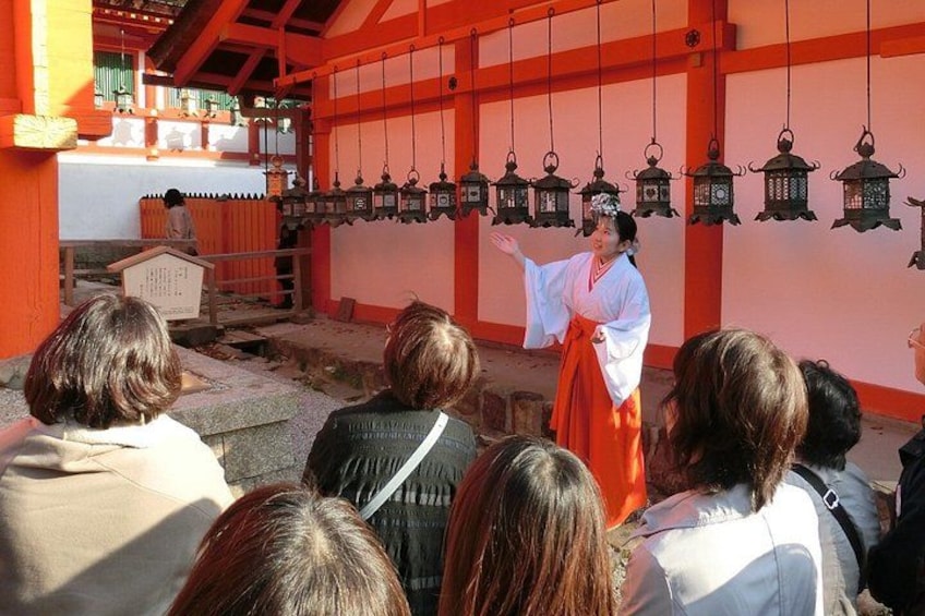 Nara Afternoon Tour from Kyoto or Osaka: Todai-ji, Nara Park 2