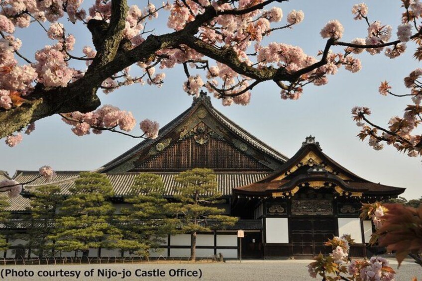 A traditional Japanese castle with cherry blossoms in the foreground. 3
