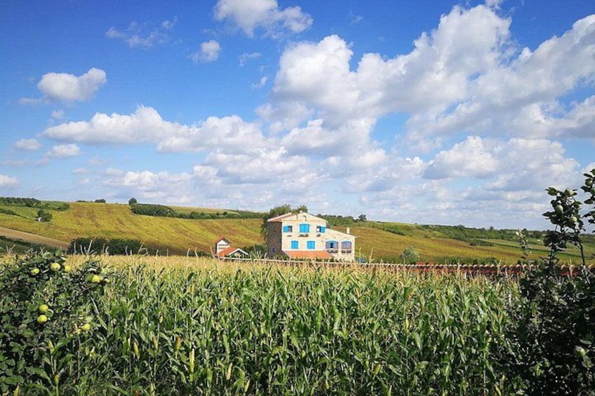 A house with blue windows and a white exterior, surrounded by a field of corn and a hilly landscape under a partly cloudy sky. 4