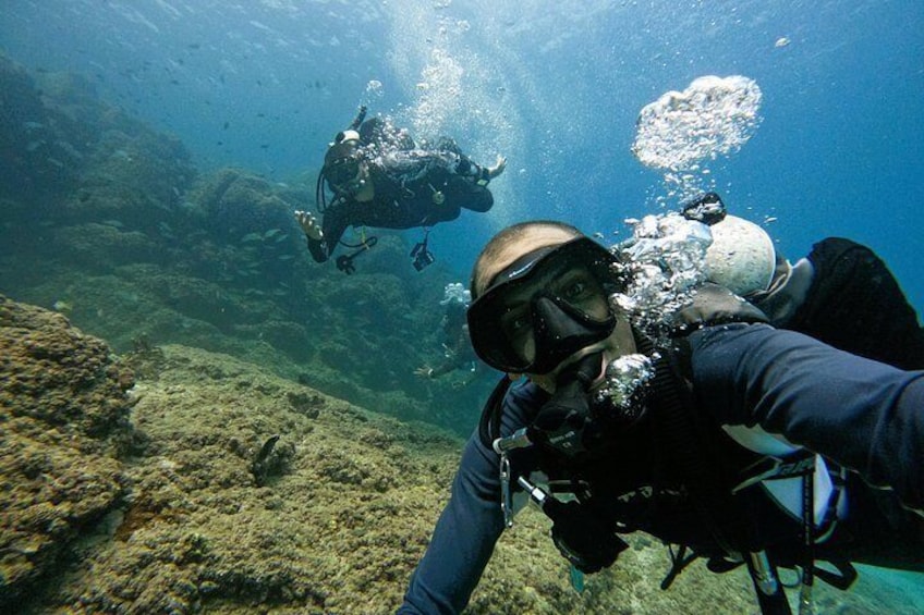 2 Dives for Certified Divers in Fujairah with transfer 4