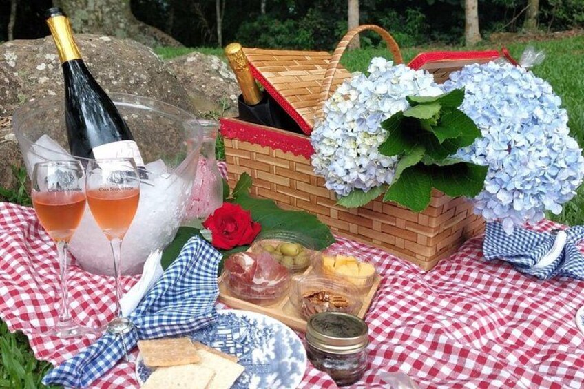 Private Picnic at the Vinícola Gardens in Gramado 5