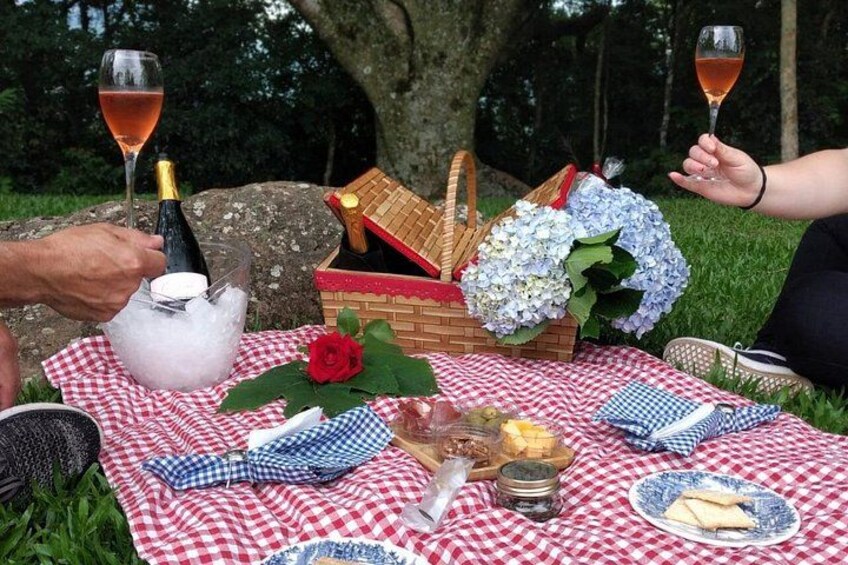 Private Picnic at the Vinícola Gardens in Gramado 4