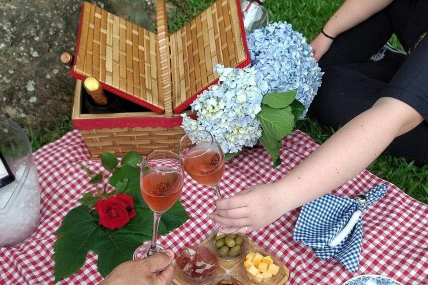 Private Picnic at the Vinícola Gardens in Gramado 3