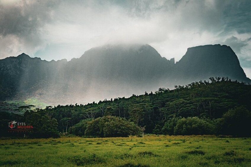 Private excursion to Moorea, photo tour & immersive discovery 2