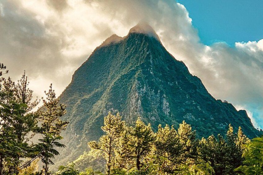 Private excursion to Moorea, photo tour & immersive discovery 4