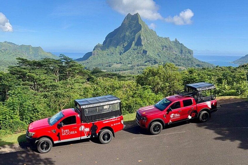 Dedicated converted vehicles 1