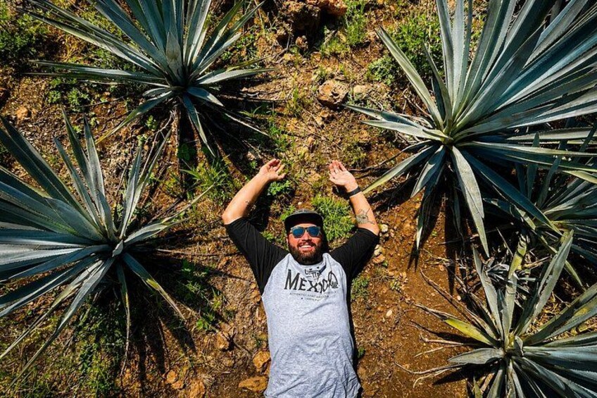 A person standing with arms raised amidst agave plants. 1