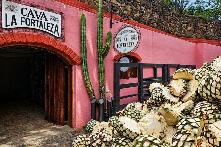 A building named 'CAVA LA FORTALEZA' with a cactus and a sign. 5