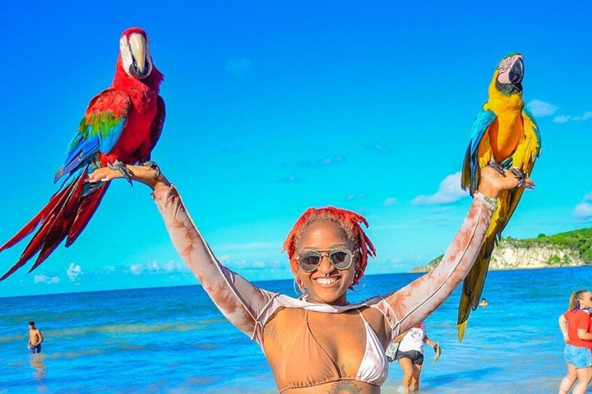 Una persona sostiene dos guacamayos coloridos en una playa con aguas azules cristalinas y una costa distante. 2