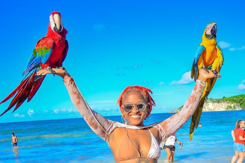 Una persona tiene in braccio due pappagalli colorati su una spiaggia con acqua cristallina e una costa in lontananza. 4