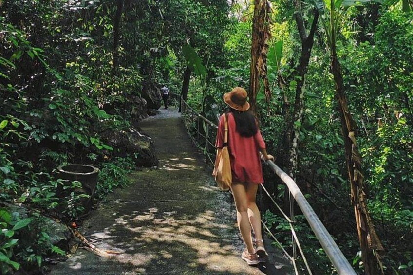 Phong Nha - Paradise Cave or Dark Cave - 1 Day All Inclusive 4