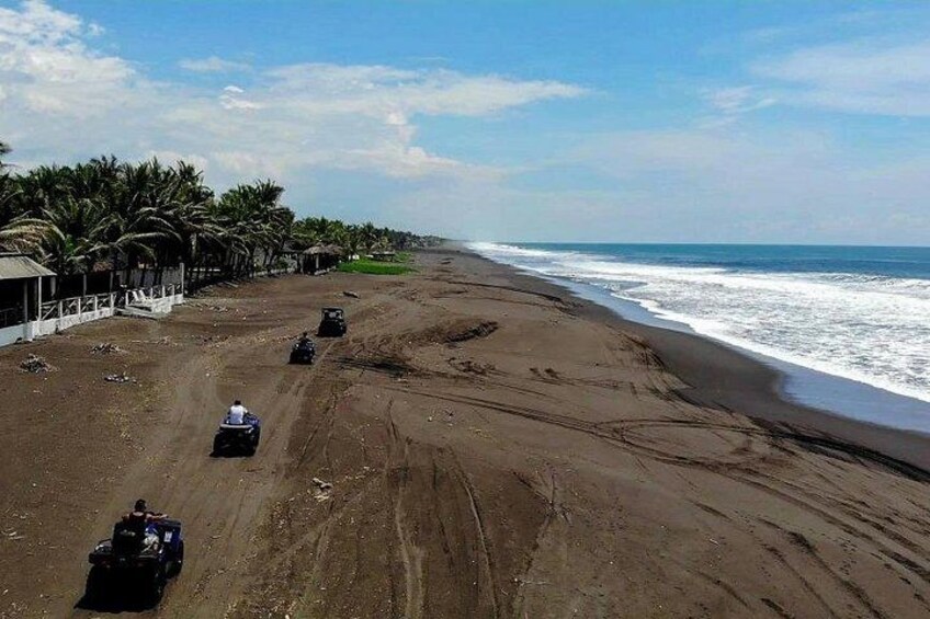 A beach with vehicles and palm trees. 3