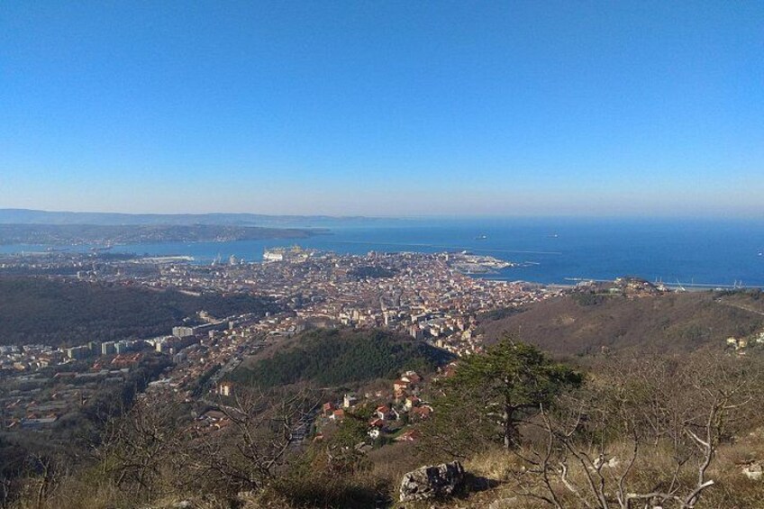 Experience Trieste 2