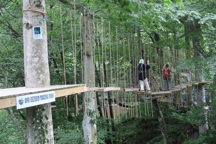 Un ponte sospeso fatto di corde in una zona boschiva, con persone che lo attraversano. 3