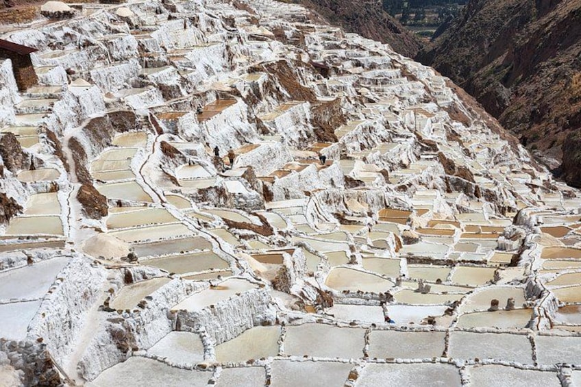 Tour to the Salineras de Maras and Terrazas de Moray 3