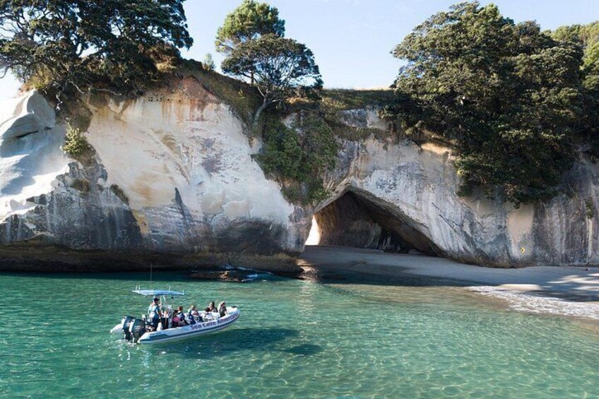 Sea Cave Adventures in Whitianga 4
